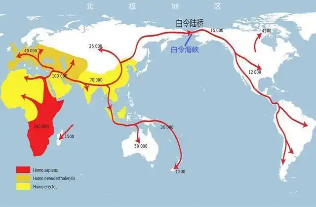 人类迁移路线图