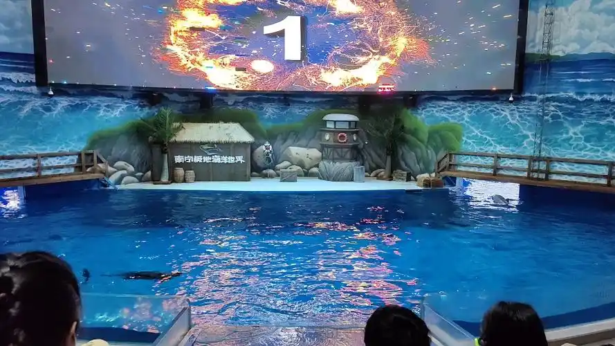 南宁市三日游之 极地海洋世界海狮海豚表演>
