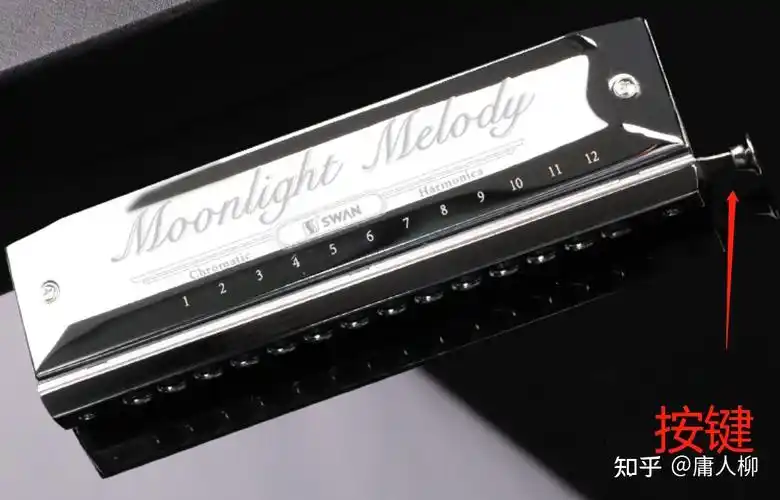 独奏口琴主要有布鲁斯口琴,半音阶口琴和复音类口琴(包括重音,回声