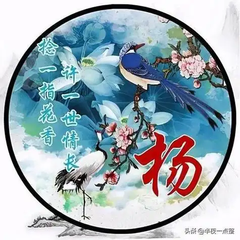 每日一姓百家姓姓氏头像之杨