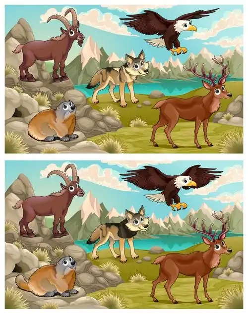 矢量卡通野生动物