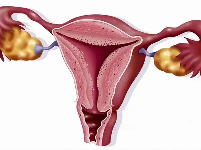 别信始基子宫能治好子宫先天发育畸形治愈几率不高