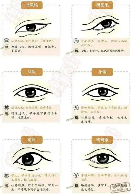 500_740竖版 竖屏