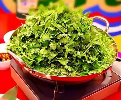日本某家饭馆的香菜火锅