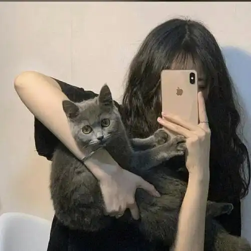 ins小可爱用的神仙级女生头像