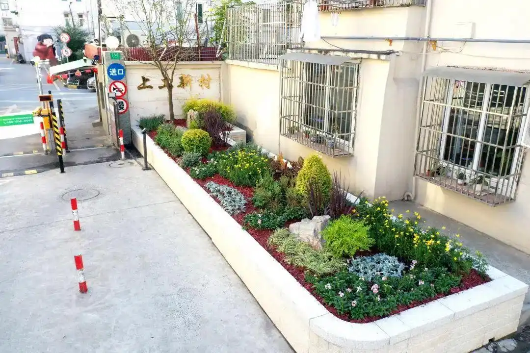 180㎡景观花坛点亮街景!居民:点赞!和以前比不一样了!
