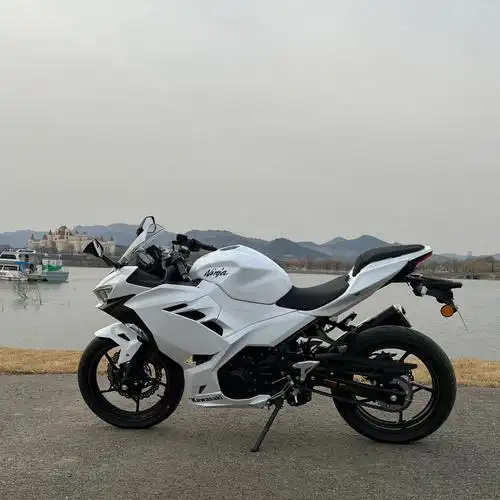 川崎ninja400清单明细:(蓝色)1.定金5000元.2.纯白外壳1500元.3.
