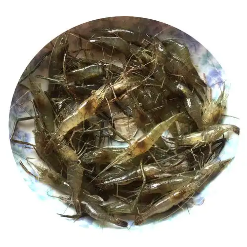 小河虾 500g 新鲜淡水青虾 小草虾醉虾清水野河虾