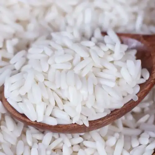 活动新货长糯米新米长白糯米江米糍粑饭团米圆子包粽子米酒促销