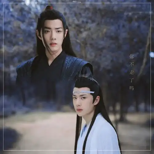 陈情令  肖战王一博