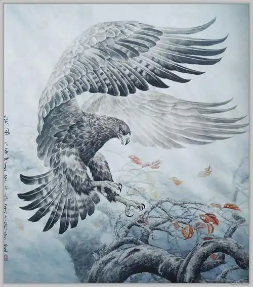 国画欣赏 工笔鹰