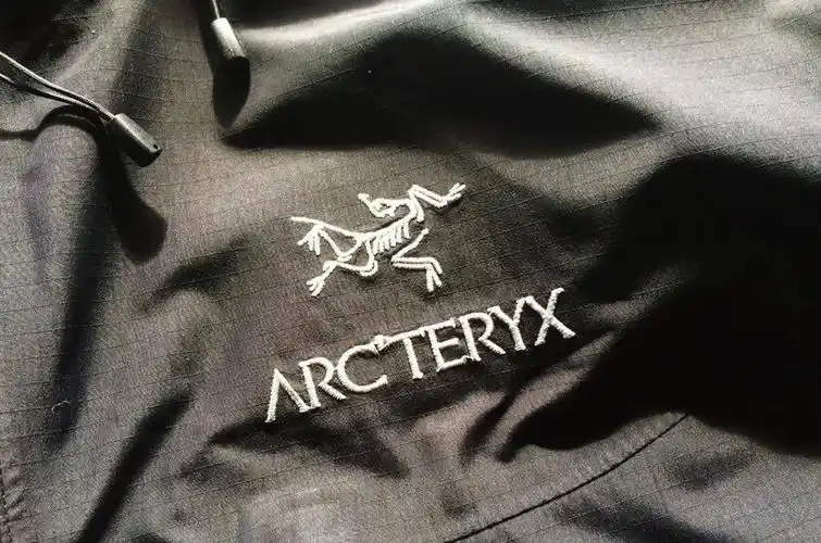 与palace 合作后,始祖鸟还要飞向何方?_virgil