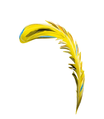 羽毛尾巴图片免费下载_羽毛尾巴素材_万素网