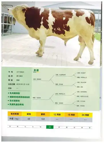 优良种公牛冻精