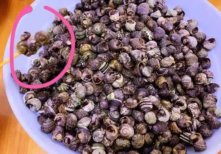 香波螺 香波螺怎么做好吃