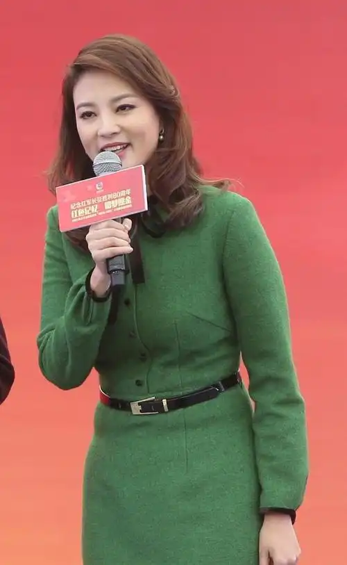 才貌双全的cctv主持人——刘芳菲_网易订阅