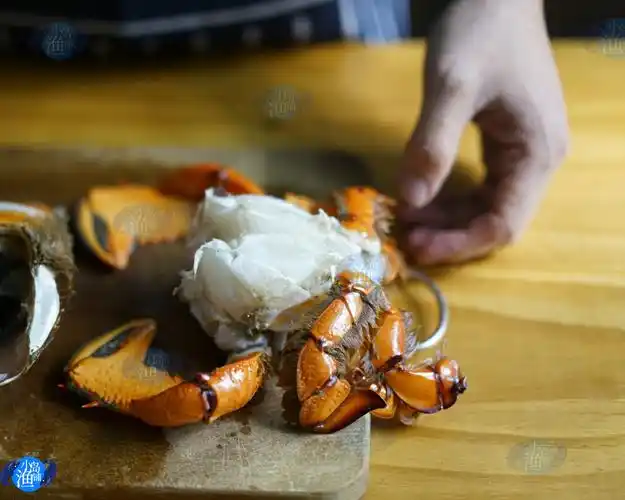 小岛渔铺柠檬台湾老虎蟹