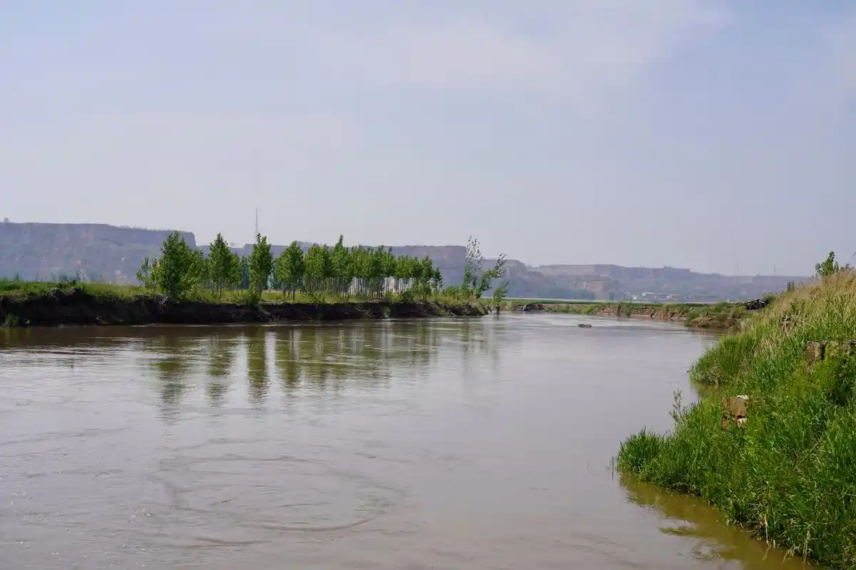 稷山汾河国家湿地公园掠影