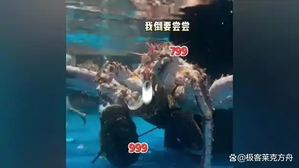 有无数新奇的事情发生,而这一次,一个螃蟹和龙虾的故事让我们捧腹大笑