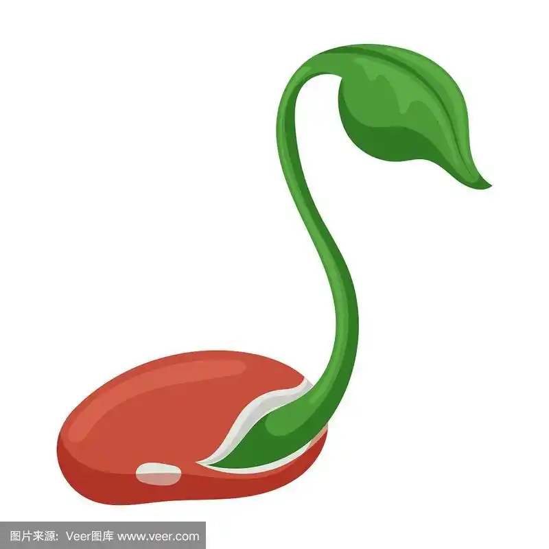 豆芽图标卡通图标