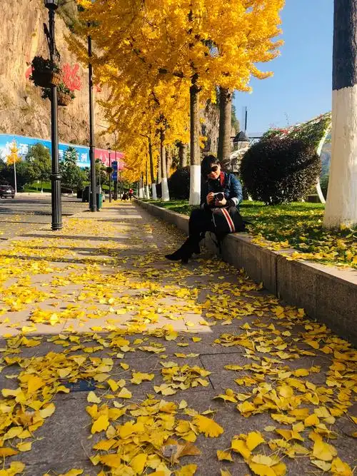 美丽的龙津公园