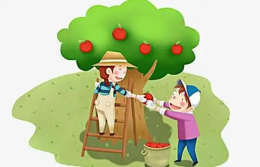 摘苹果作文200字二年级