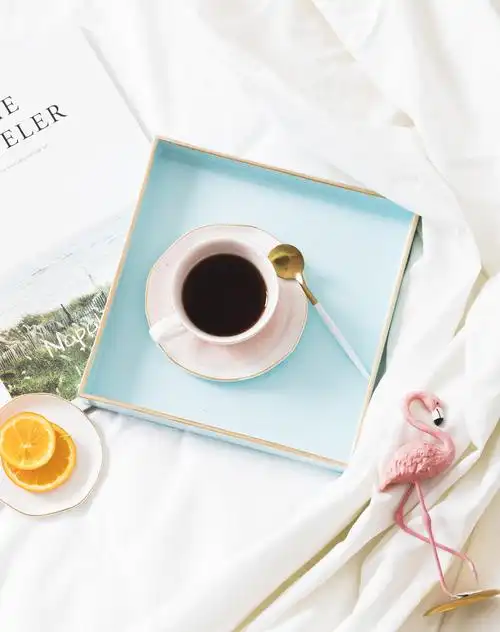 ins极简北欧冷淡风.(图摘自度娘)