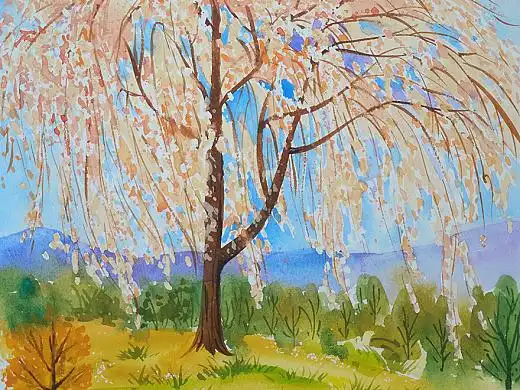 《樱花树》原创水彩作品