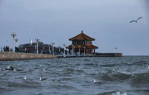 美丽的小青岛,用少女的情怀拨动着琴弦,倾诉着对家乡无尽的眷恋