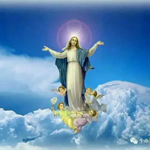 天主教丙年常年期第15主日答唱咏【钢琴】