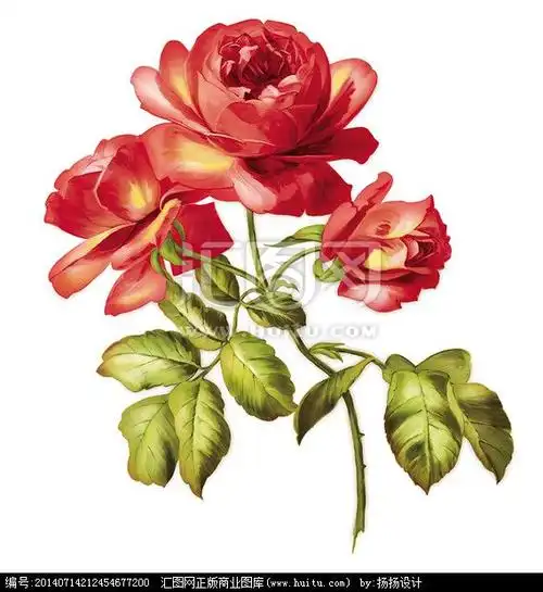 汇图网采集到设计素材