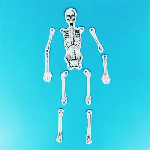 diy人体骨骼模型儿童幼儿创意制作学具益智玩具拼装科学探索教具
