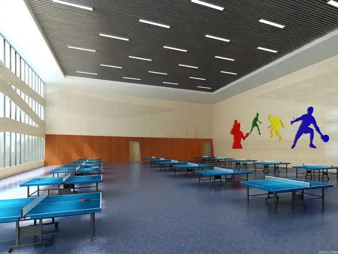 如皋市体育馆室内设计方案