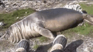 容我圆润地离开——拍让子弹飞的时候,投资方还是制片方来着,看了剧本