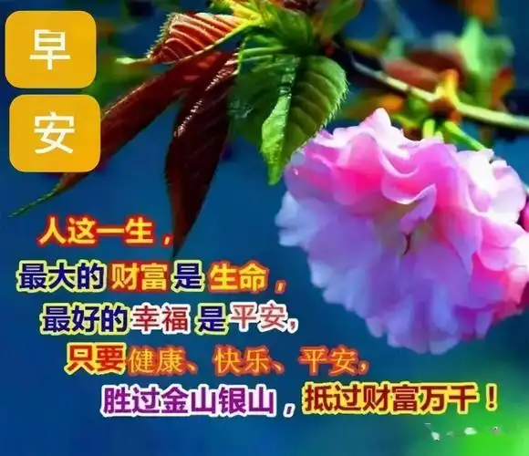 亲爱的朋友朋友早上好