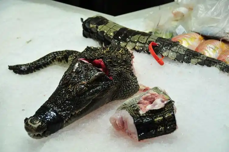 不只是老鼠肉!实拍什么东西都敢吃的中国人(组图)