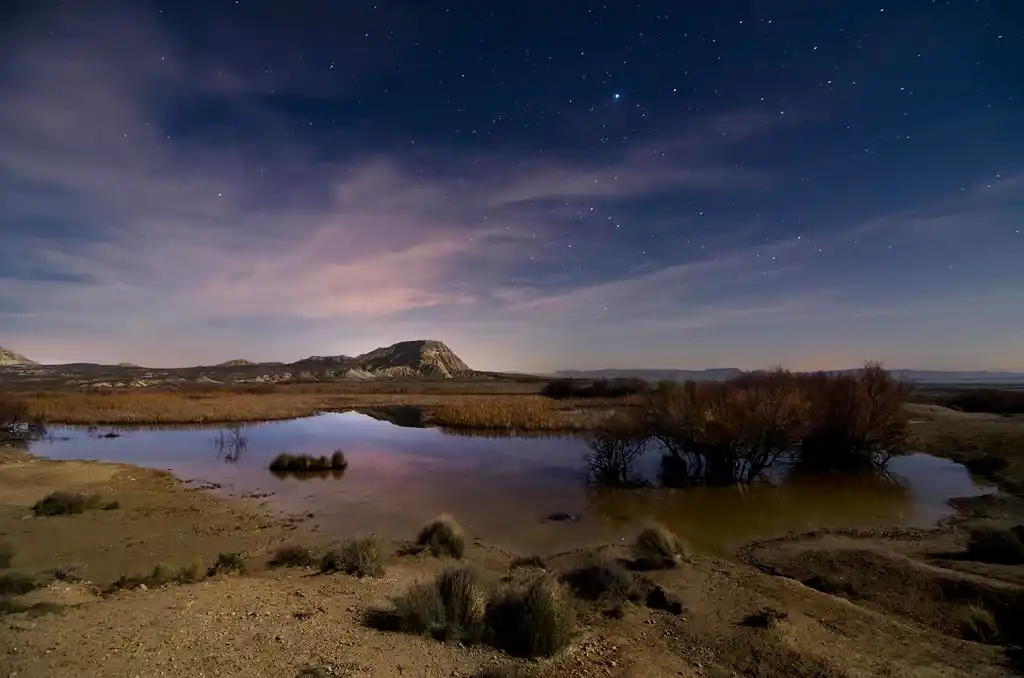星在绿洲,巴德纳斯在晚上的沙漠