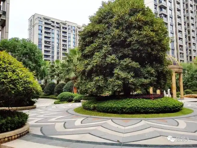 圆形铺装 · 演绎设计之经典