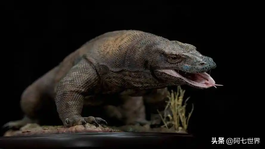 古巨蜥,是已知最大的蜥蜴,科学家怀疑还存在于澳洲内陆?