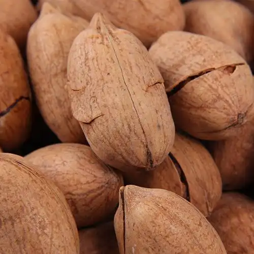 碧根果奶油味长寿果坚果休闲零食办公室干果散装5kg/箱图片