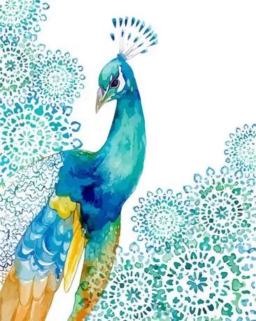 手绘孔雀和花素材手绘孔雀和花素材各种孔雀合集素材各种孔雀合集素材