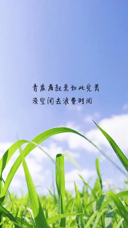 唯美意境文字语录图片手机壁纸