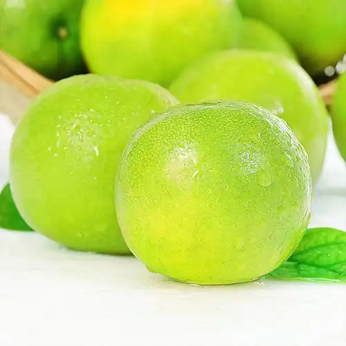 润冲云南冰糖新鲜橙子手剥超甜当季青皮高山橙