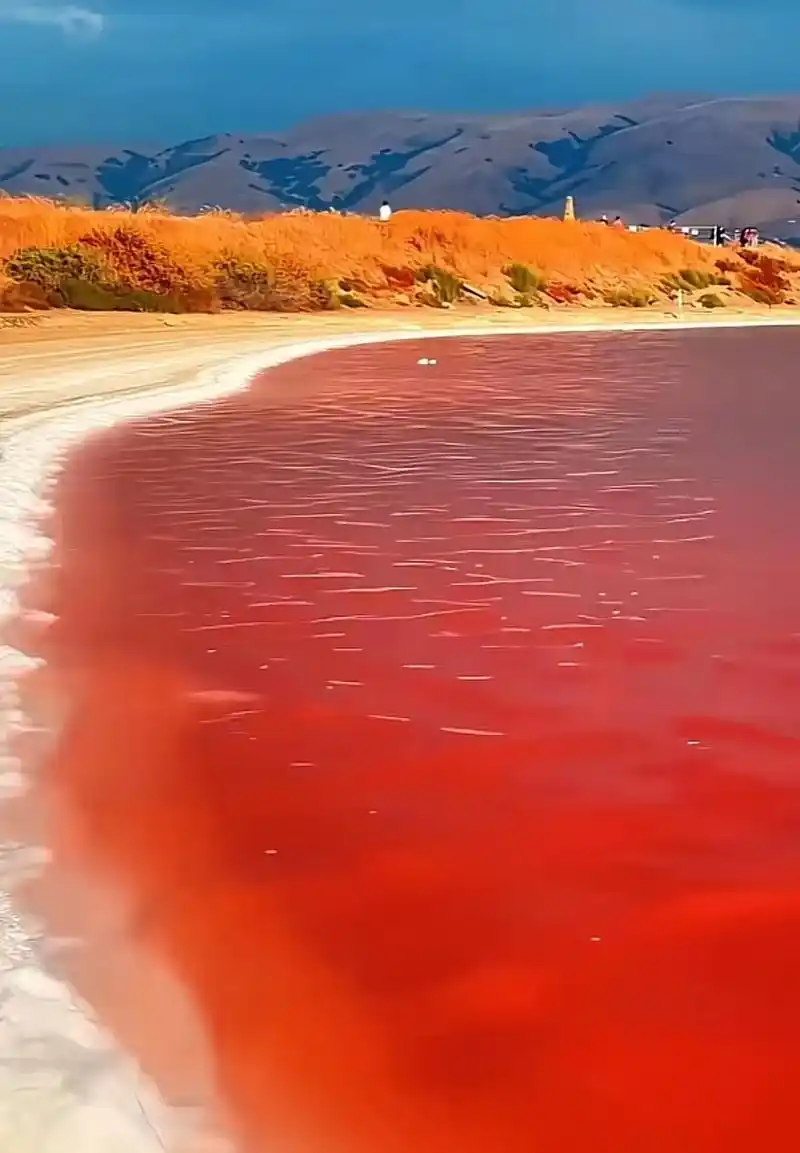 风景 #红海  原来红色的海真的存在01 - 抖音