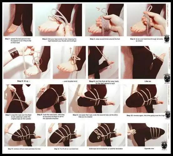 字母圈k9调教的标准动作图解教学,另外谈谈杏奴和女性瘾者