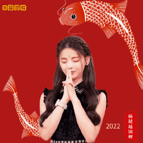 杨超越锦鲤