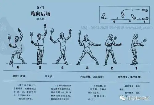 经典羽毛球教学:羽毛球标准动作图解