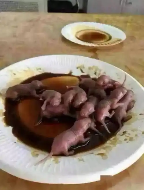 十大禁菜制作有多残忍,让人直呼没眼看?_十道菜_做法_客人