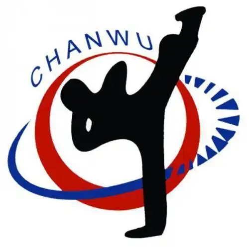 跆拳道logo_百度图片搜索