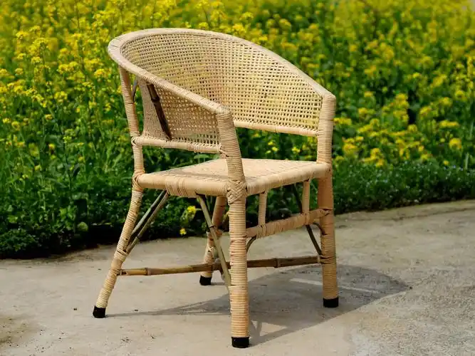 藤椅单人老人田园竹椅植物藤椅子靠背电脑椅家用复古老式结构编织